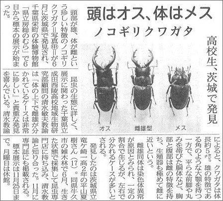 生物 クワガタのはさみ 雌雄差を生み出す遺伝子を特定 北海道大 ニュース速報 どんなもんじゃい